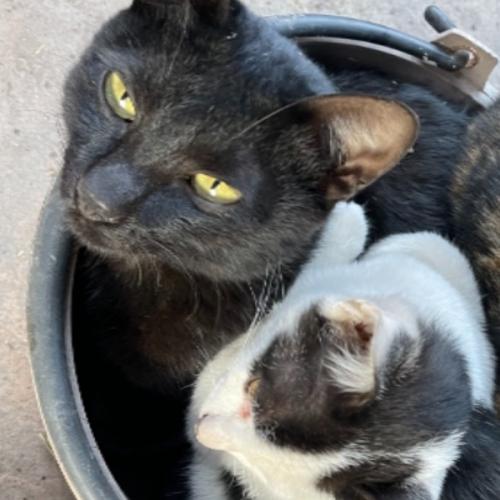 สมาชิกหมายเลข 895308