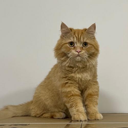 สมาชิกหมายเลข 6783274