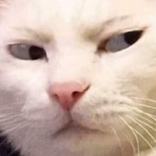 สมาชิกหมายเลข 7031409