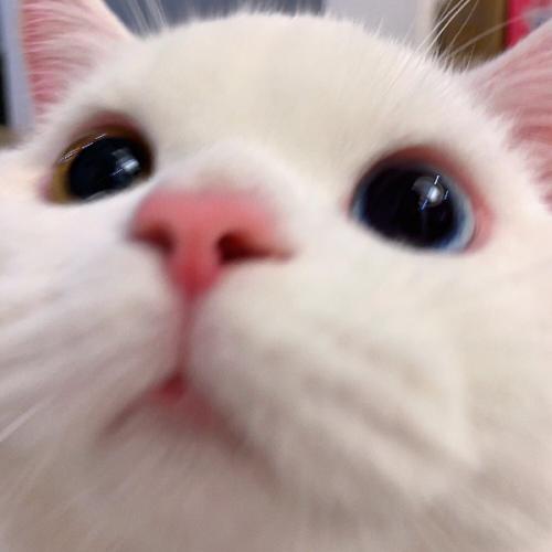 สมาชิกหมายเลข 7031583