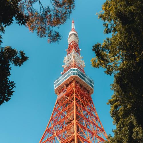 สมาชิกหมายเลข 8750203