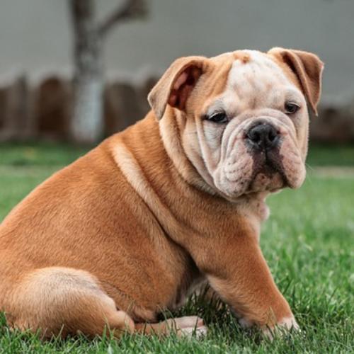 สมาชิกหมายเลข 8768332