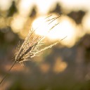 สมาชิกหมายเลข 3720413