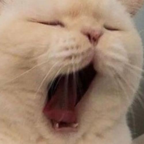 สมาชิกหมายเลข 4903675