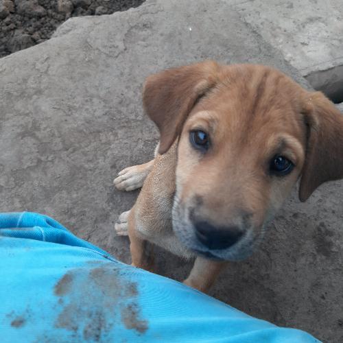 สมาชิกหมายเลข 3354340