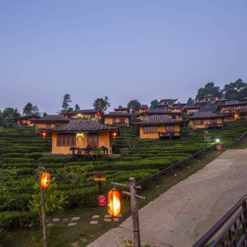 สมาชิกหมายเลข 5749383