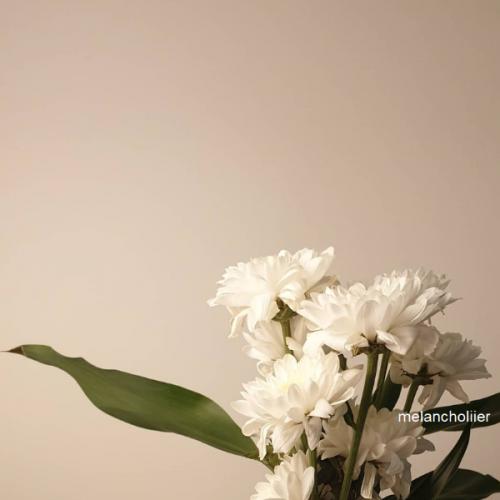 สมาชิกหมายเลข 1079901