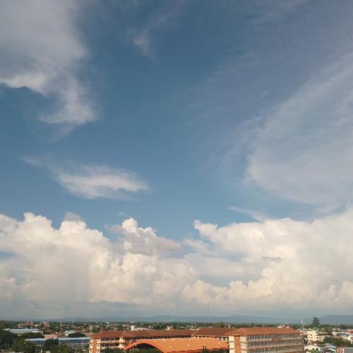 สมาชิกหมายเลข 7801255