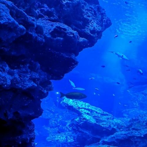 สมาชิกหมายเลข 703458