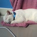 สมาชิกหมายเลข 3143632