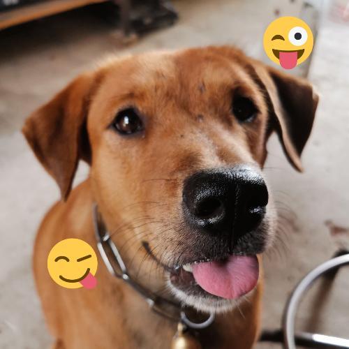 สมาชิกหมายเลข 2115952