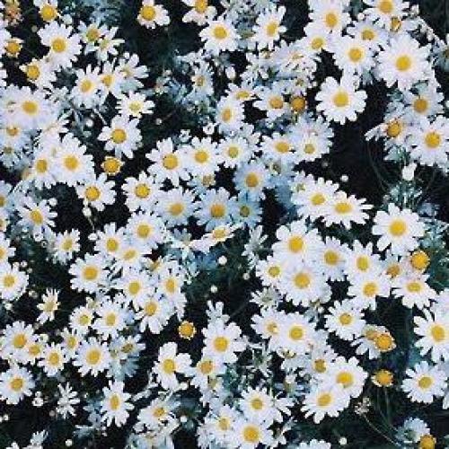 สมาชิกหมายเลข 5301135