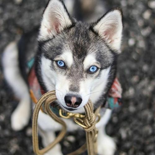 สมาชิกหมายเลข 5756108