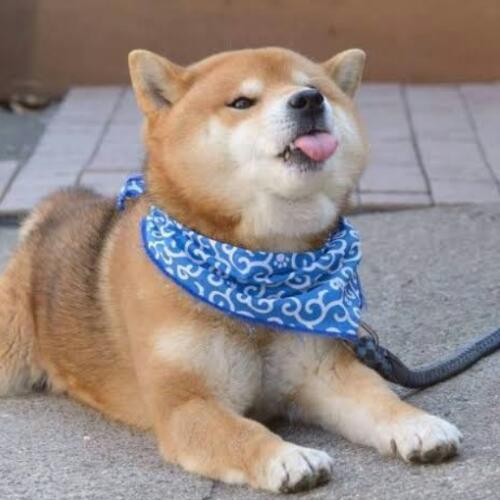 สมาชิกหมายเลข 5756986