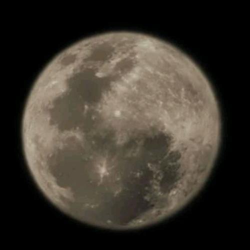 สมาชิกหมายเลข 6348477