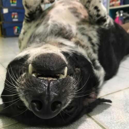 สมาชิกหมายเลข 6348606