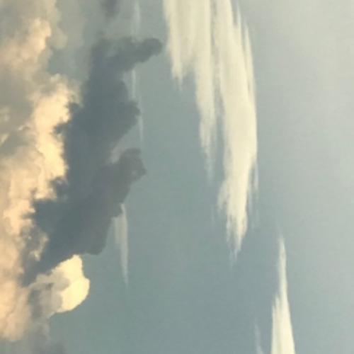 สมาชิกหมายเลข 4400117