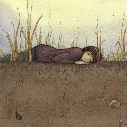 สมาชิกหมายเลข 7801337