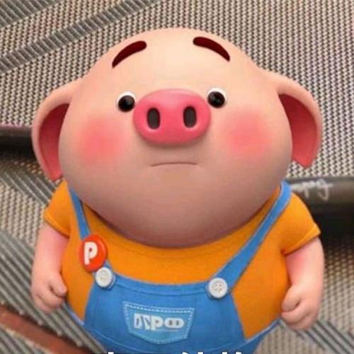 สมาชิกหมายเลข 3501208