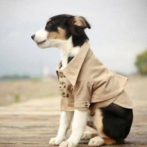 สมาชิกหมายเลข 8316456