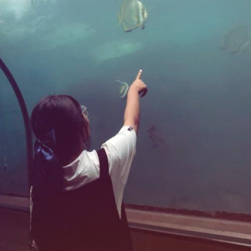 สมาชิกหมายเลข 8771558