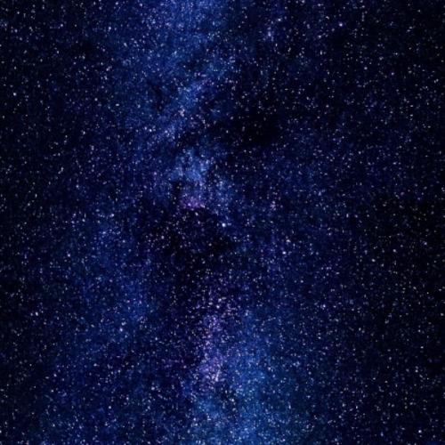 สมาชิกหมายเลข 8771731