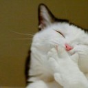 สมาชิกหมายเลข 3682886