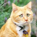 สมาชิกหมายเลข 3521356