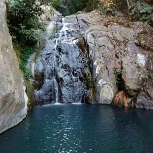 สมาชิกหมายเลข 4563135