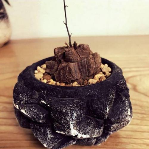 สมาชิกหมายเลข 4904443