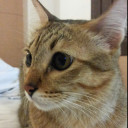 สมาชิกหมายเลข 4715371