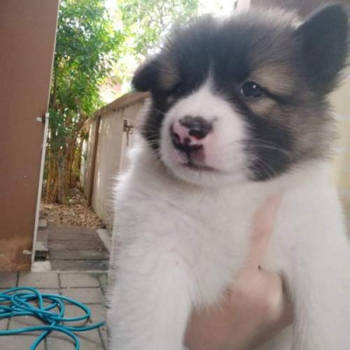 สมาชิกหมายเลข 5017968