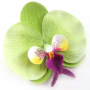 สมาชิกหมายเลข 5301562