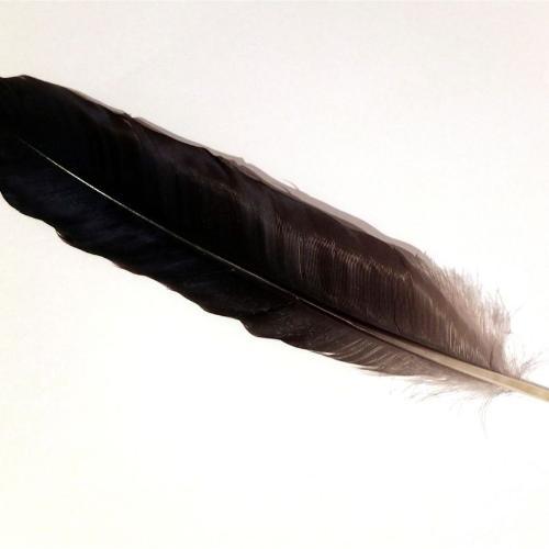 สมาชิกหมายเลข 5301713