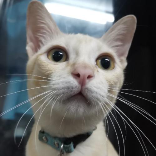 สมาชิกหมายเลข 1724391