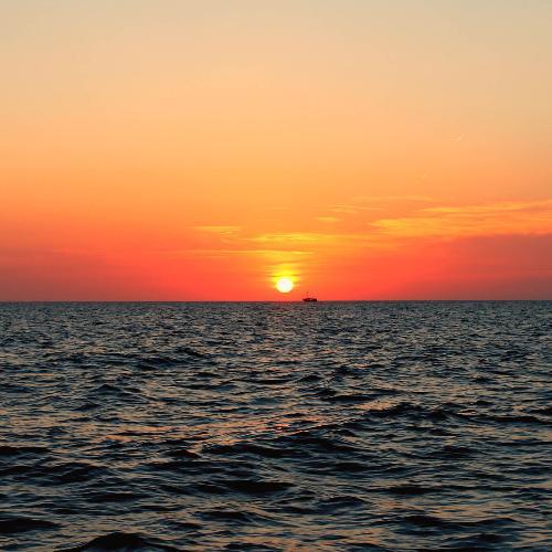 สมาชิกหมายเลข 4845110