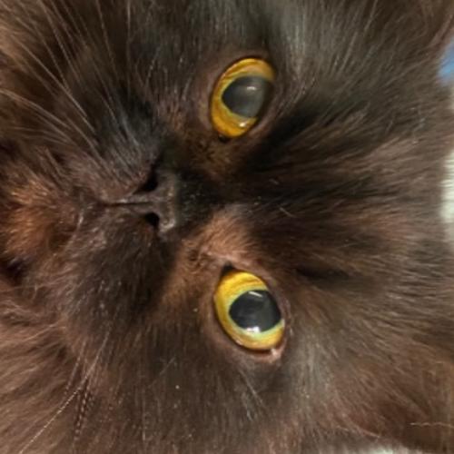 สมาชิกหมายเลข 3257667