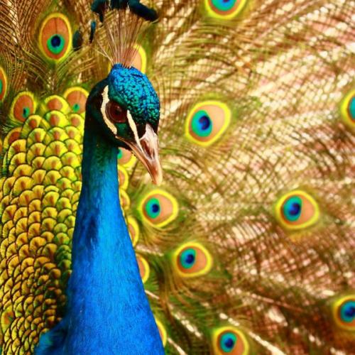 สมาชิกหมายเลข 5670276