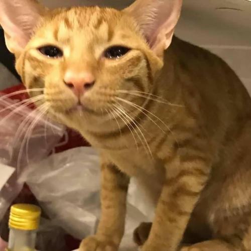 สมาชิกหมายเลข 5690649