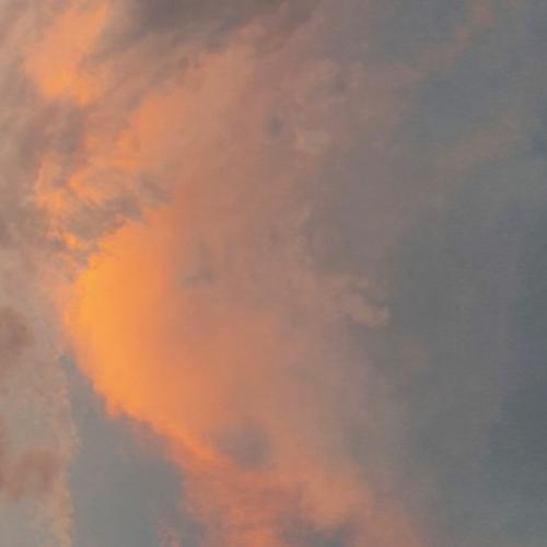 สมาชิกหมายเลข 6202334