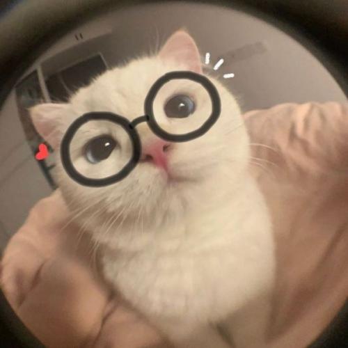 สมาชิกหมายเลข 7225482