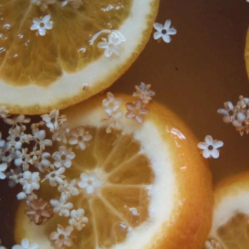 สมาชิกหมายเลข 7706717