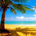 สมาชิกหมายเลข 3683323