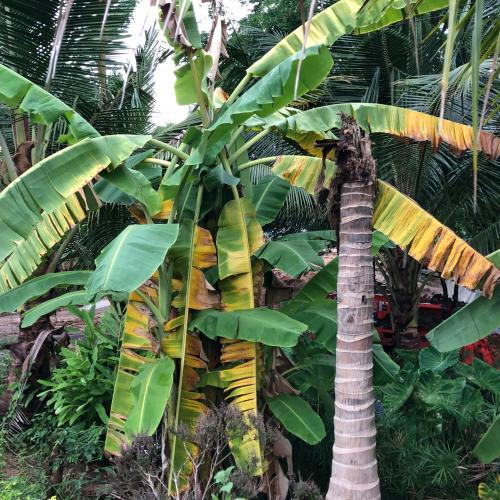 สมาชิกหมายเลข 4563405