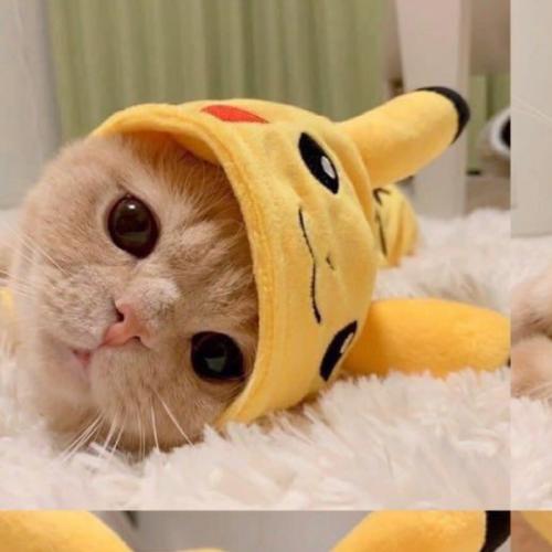 สมาชิกหมายเลข 3670914