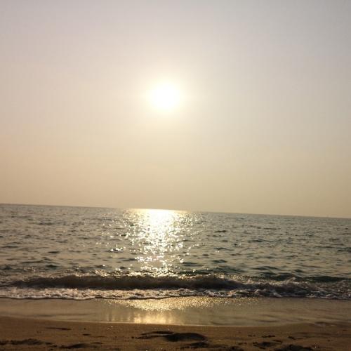 สมาชิกหมายเลข 4378155