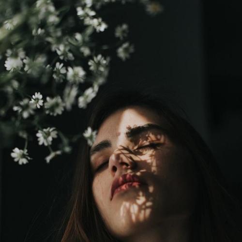 สมาชิกหมายเลข 5758056