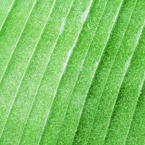 สมาชิกหมายเลข 5577647