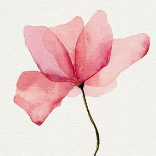 สมาชิกหมายเลข 6227087