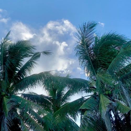 สมาชิกหมายเลข 7034421